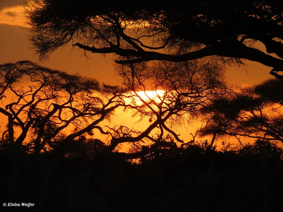 Sunset1-2.jpg