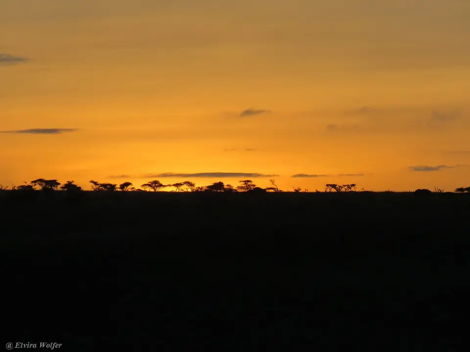 Sunset1.jpg