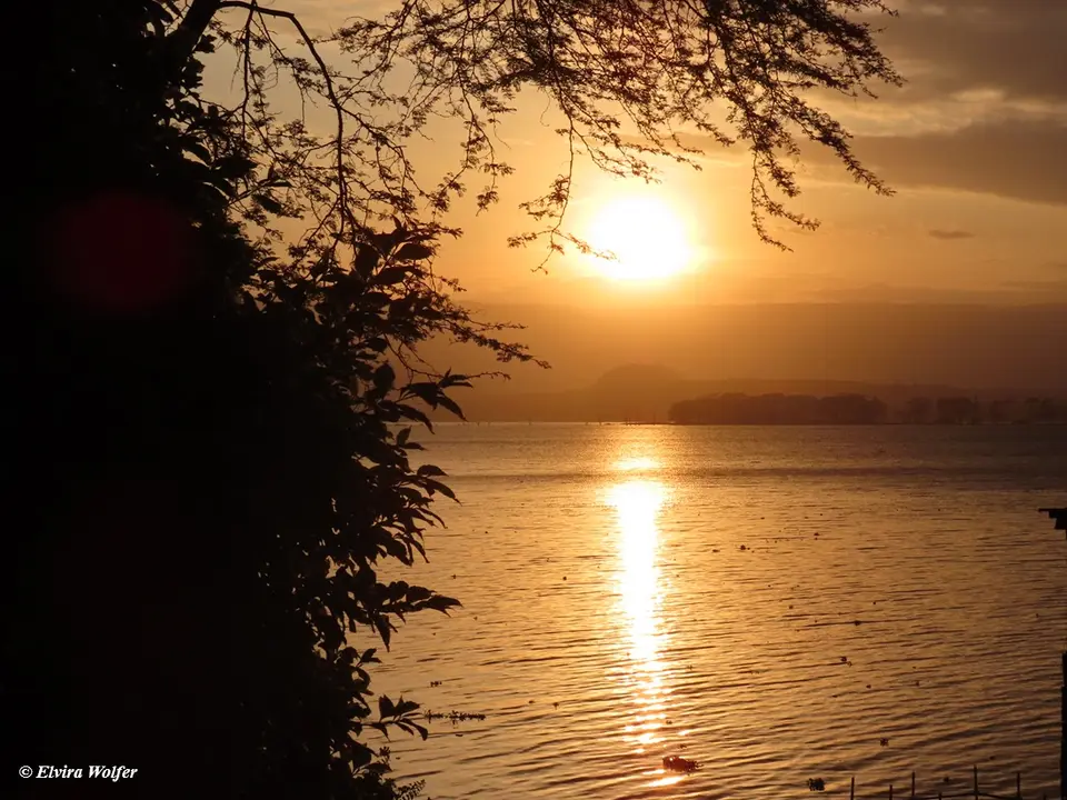 Sunset2-2.jpg