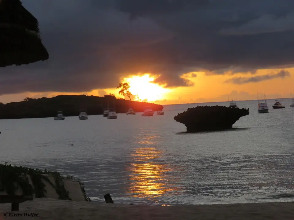 TurtleBayOcean3Sonnenaufgang.jpg