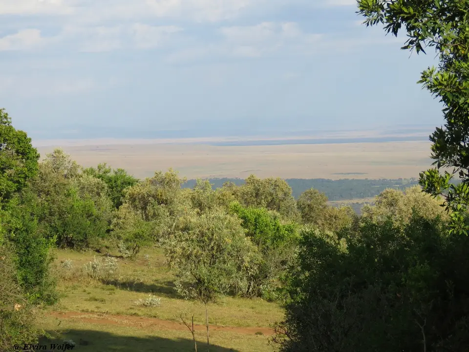 ViewfromMaraWestCamp.jpg