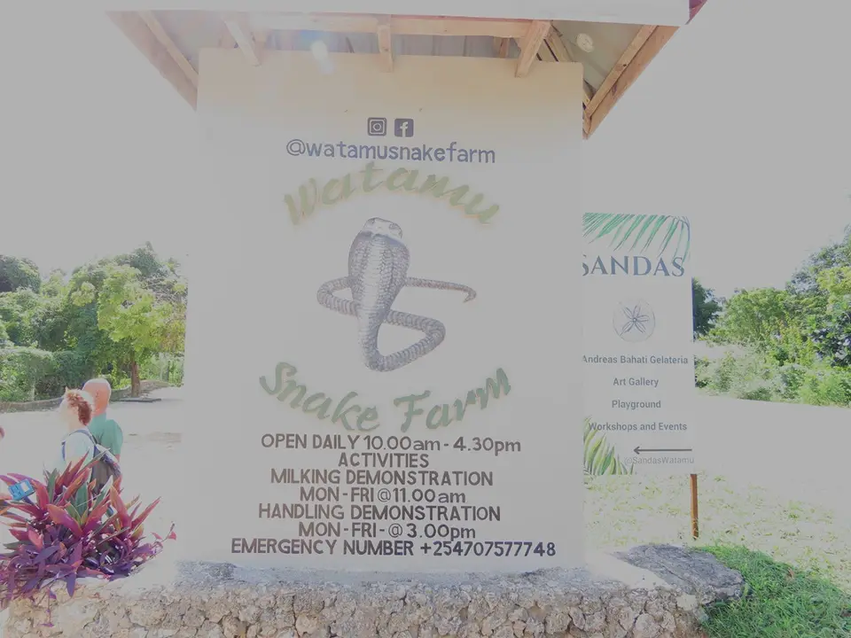 WatamuSnakeFarmsign.jpg