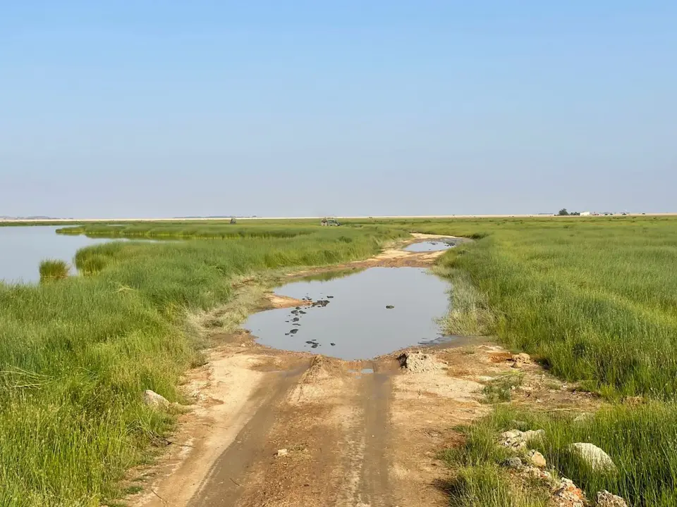 Wateronroad.jpg