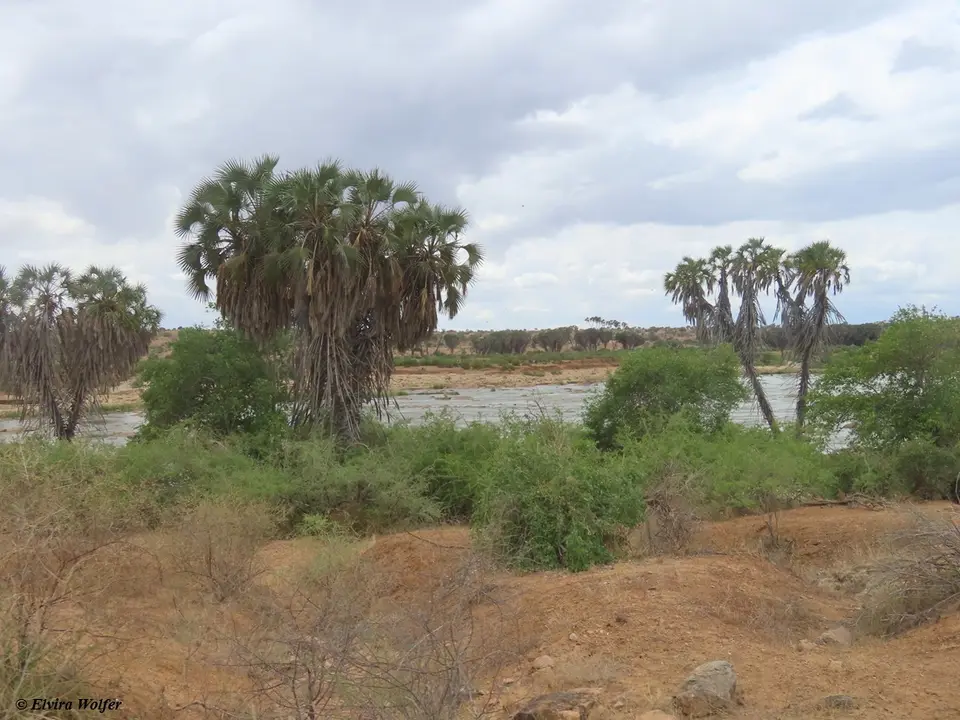 toWatamu1.jpg