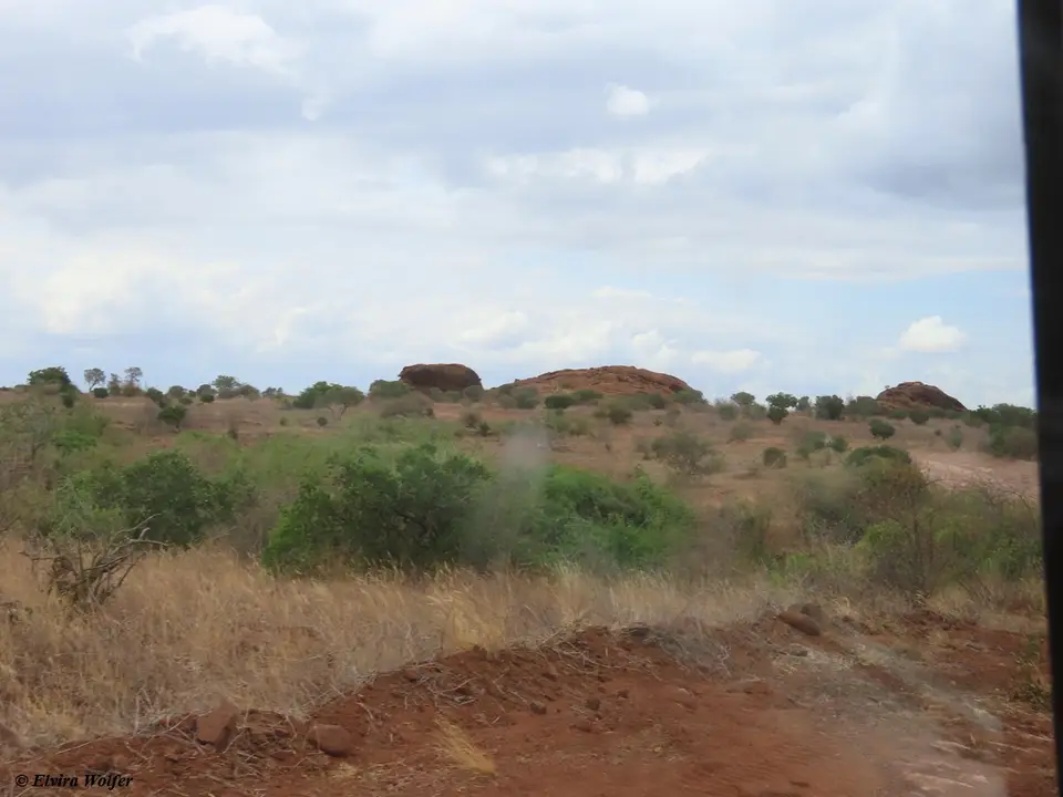 toWatamu2.jpg