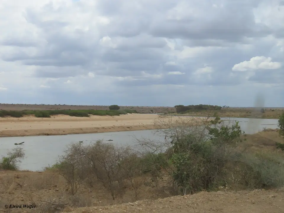 toWatamu7.jpg