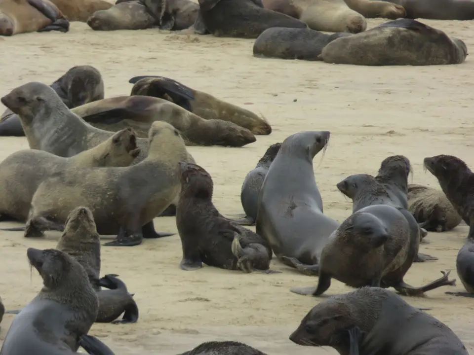 IMG_2003.JPG