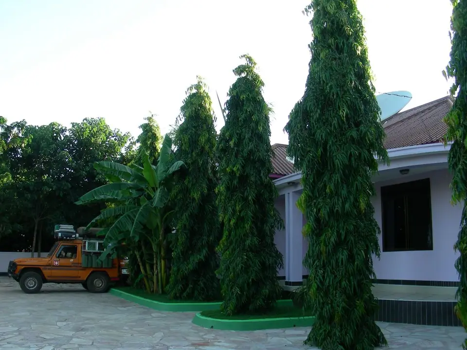 DSCN0819.JPG
