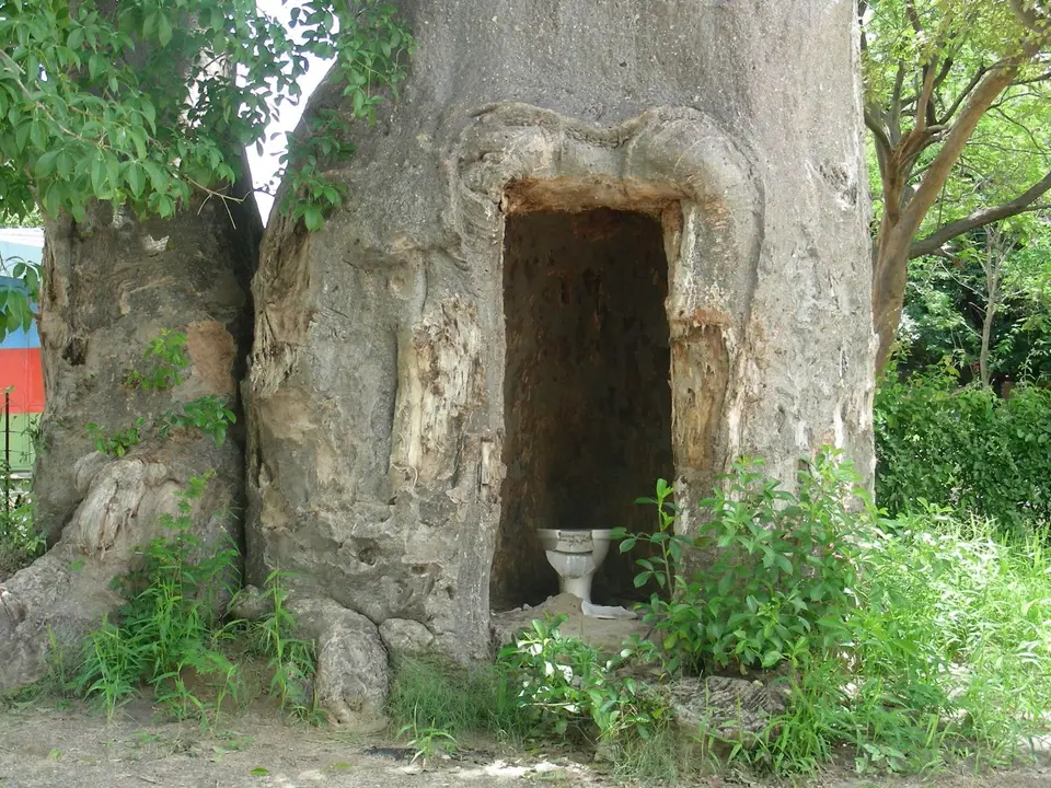 DSCN2262.JPG