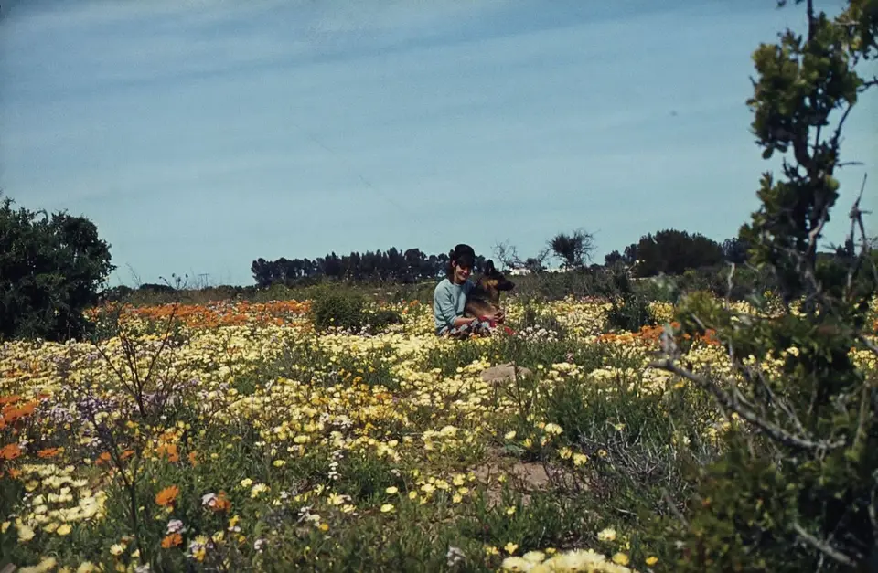 NamaqualandBlumen14.jpg