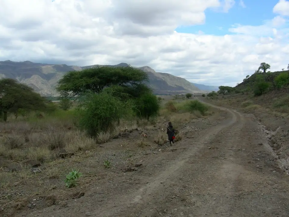 h2383155.JPG