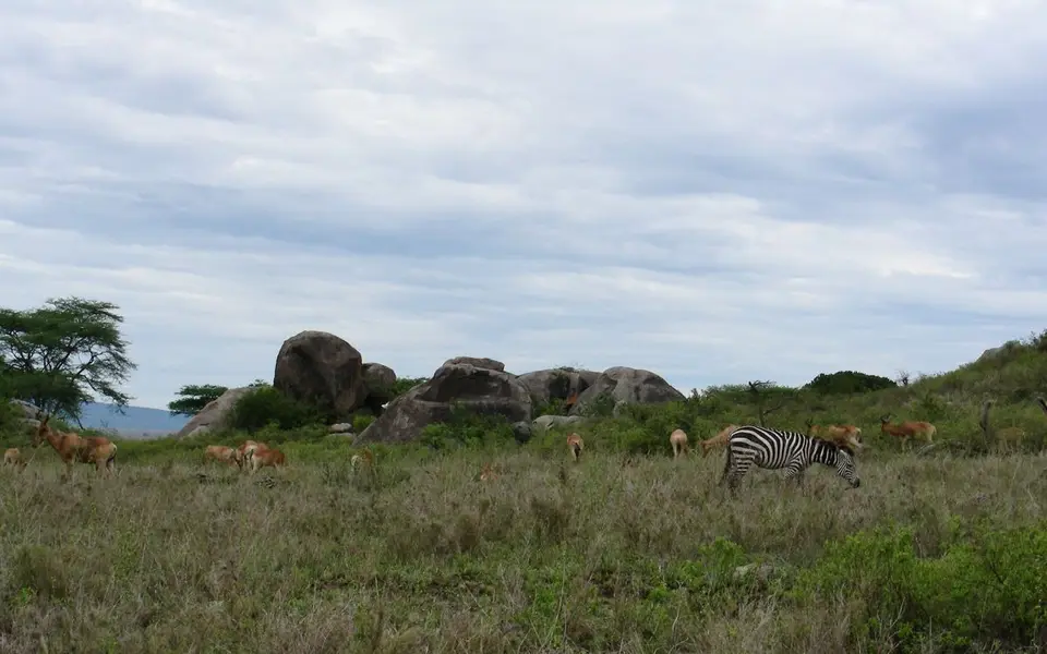 h4863735.JPG