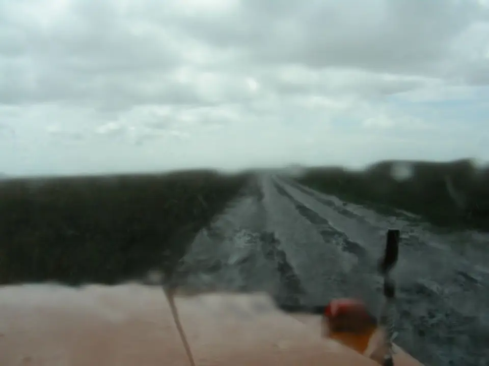 h96c0058.JPG