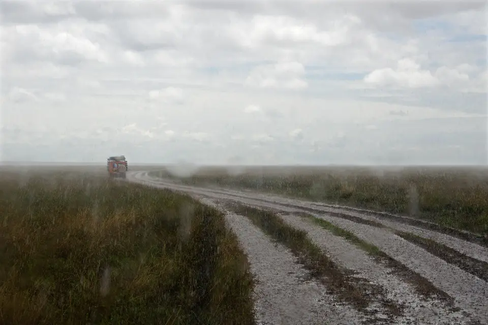 hf550417.jpg