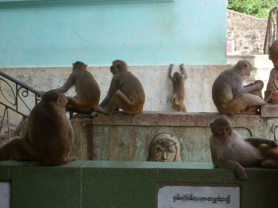 174.JPG