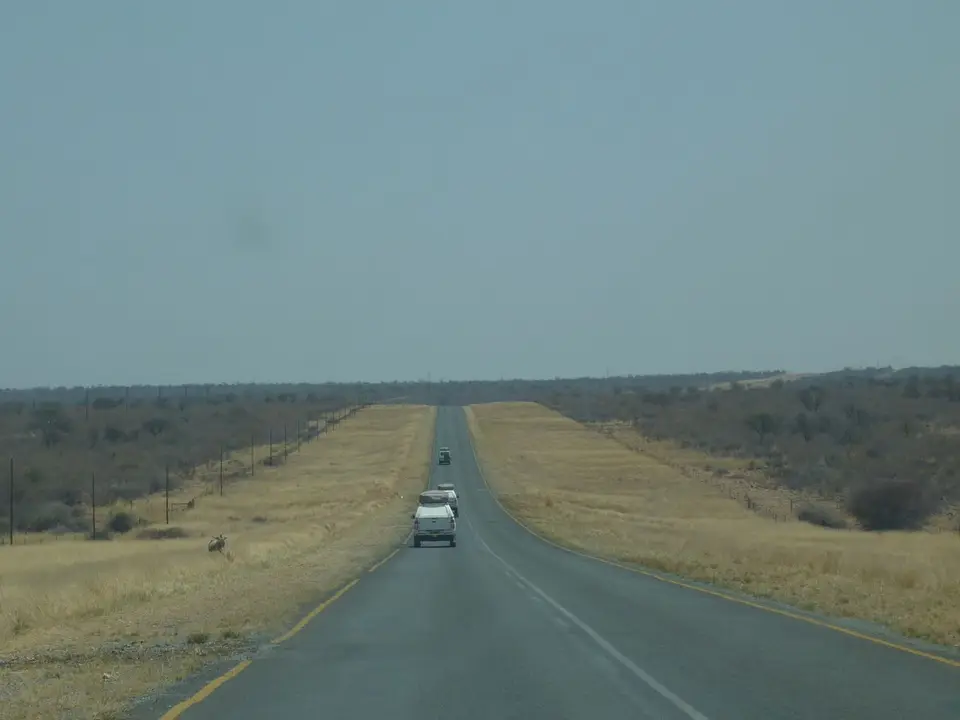 785.JPG