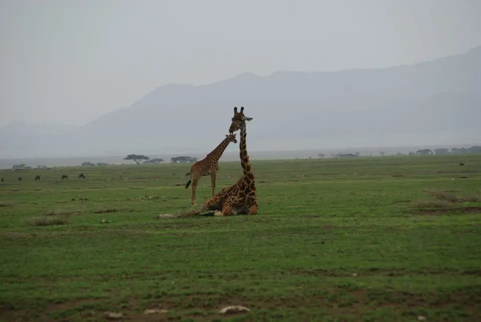 DSC05895.JPG