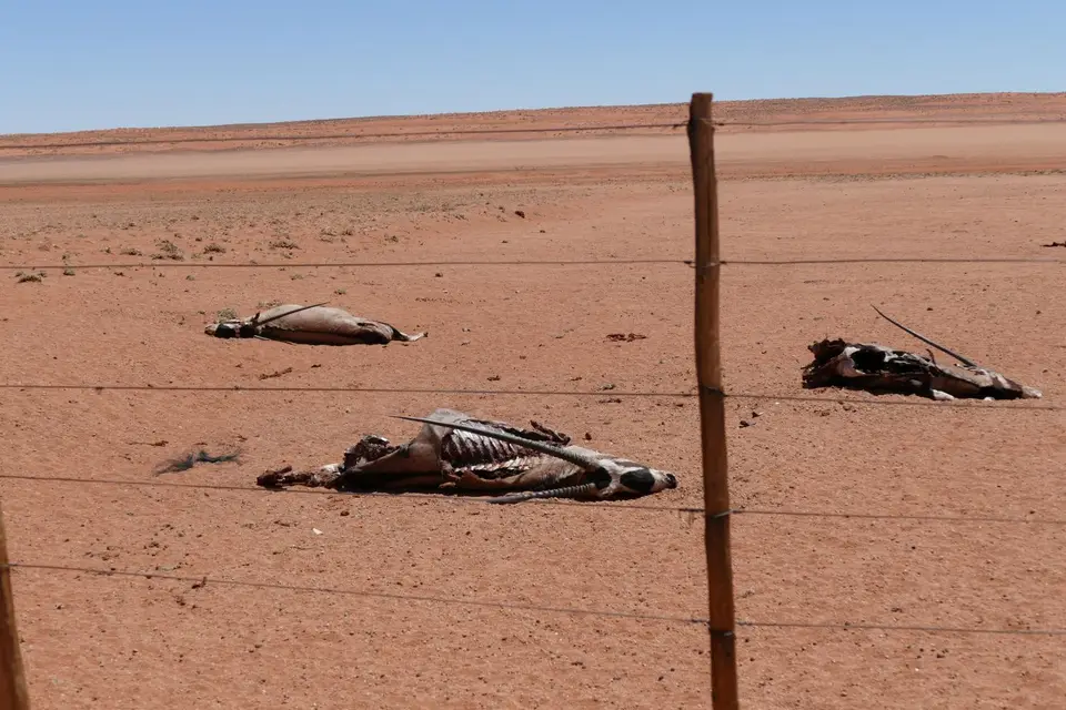 Afrika201520161510.JPG