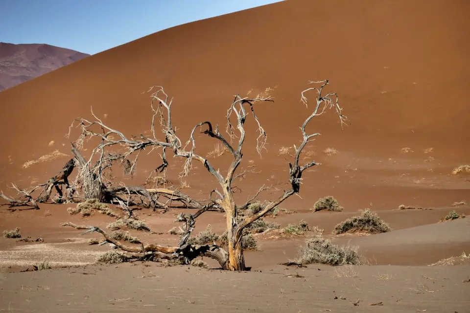Afrika201520161669.JPG