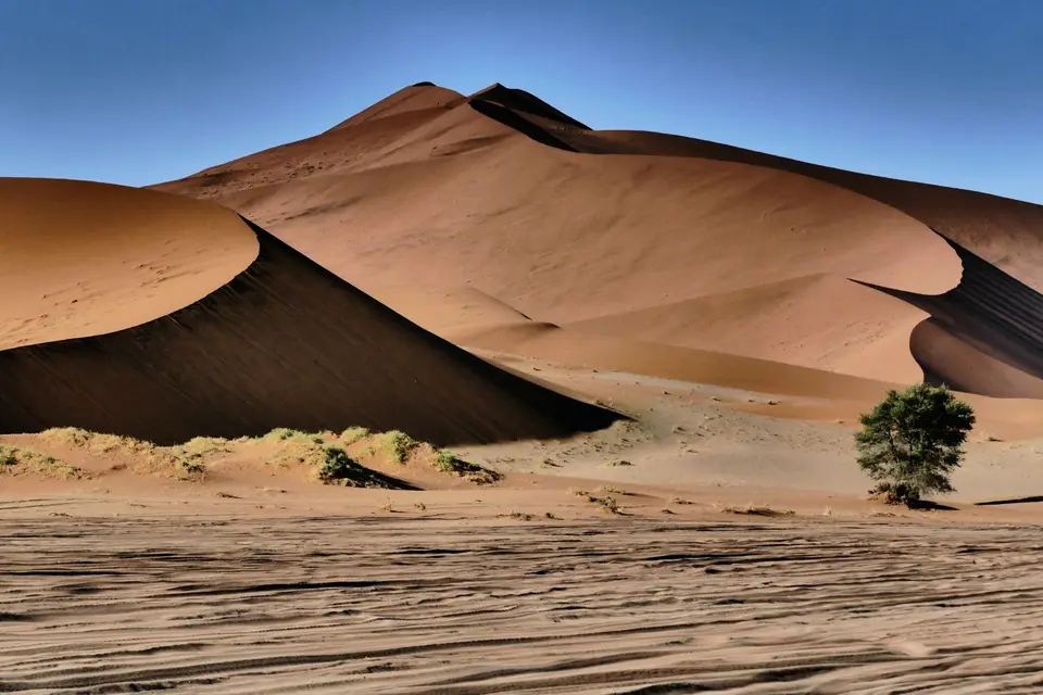Afrika201520161672.JPG