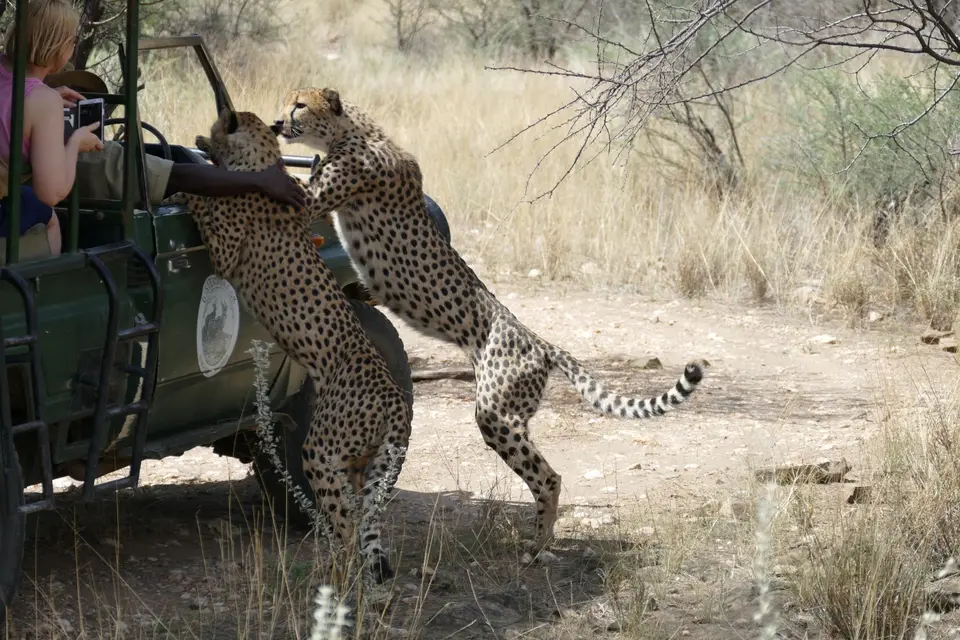 Afrika201520161841.JPG