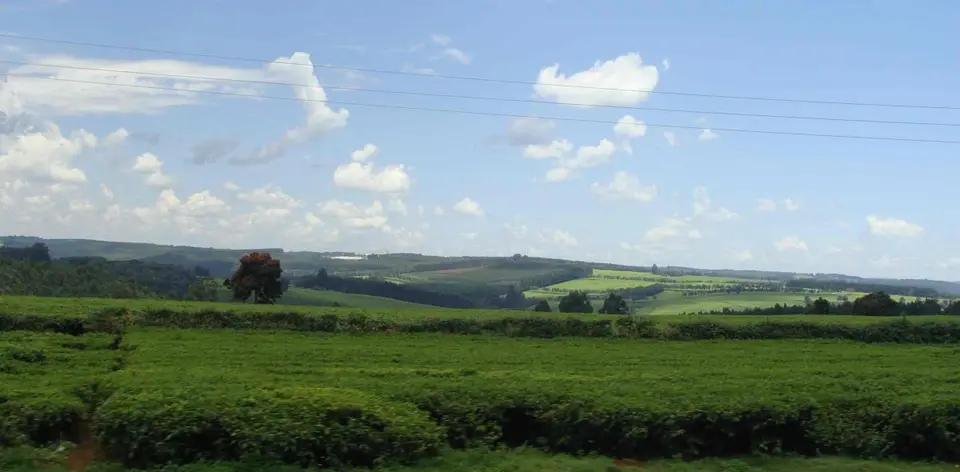 h17089ea.JPG