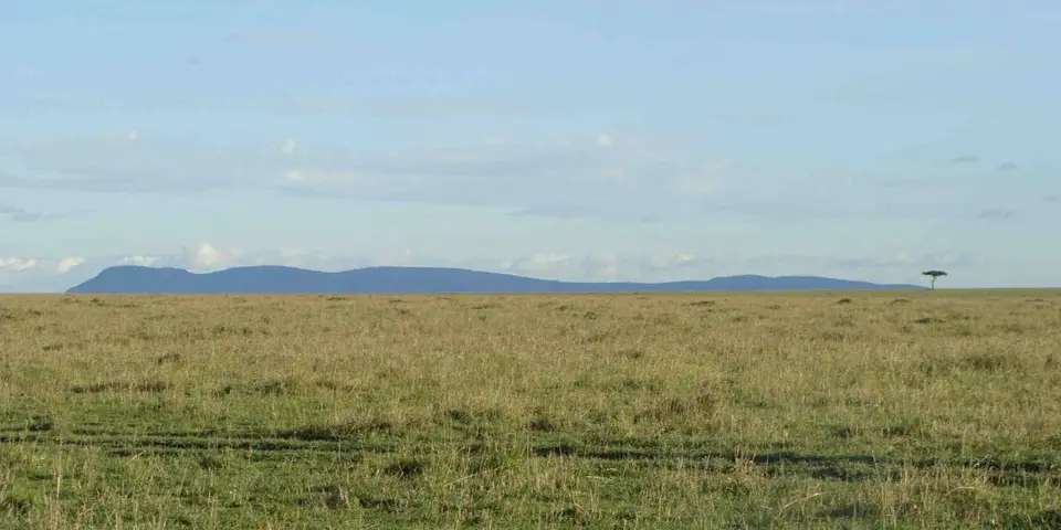 h4245776.JPG