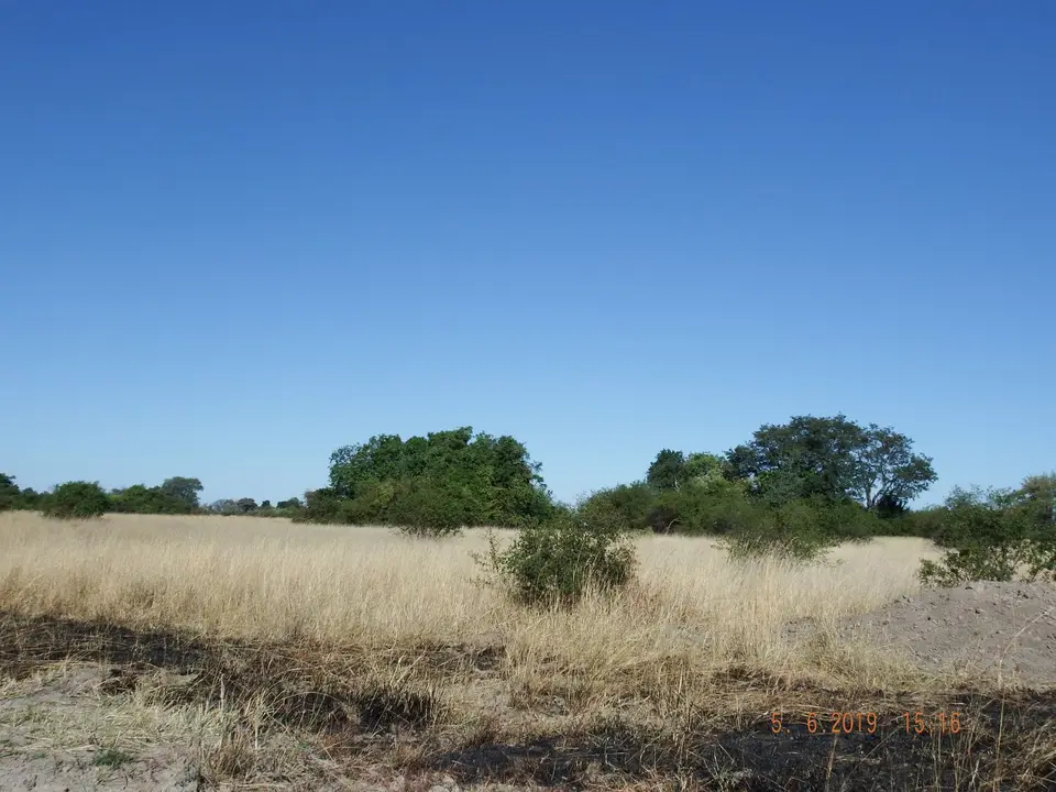 DSCF0089.JPG
