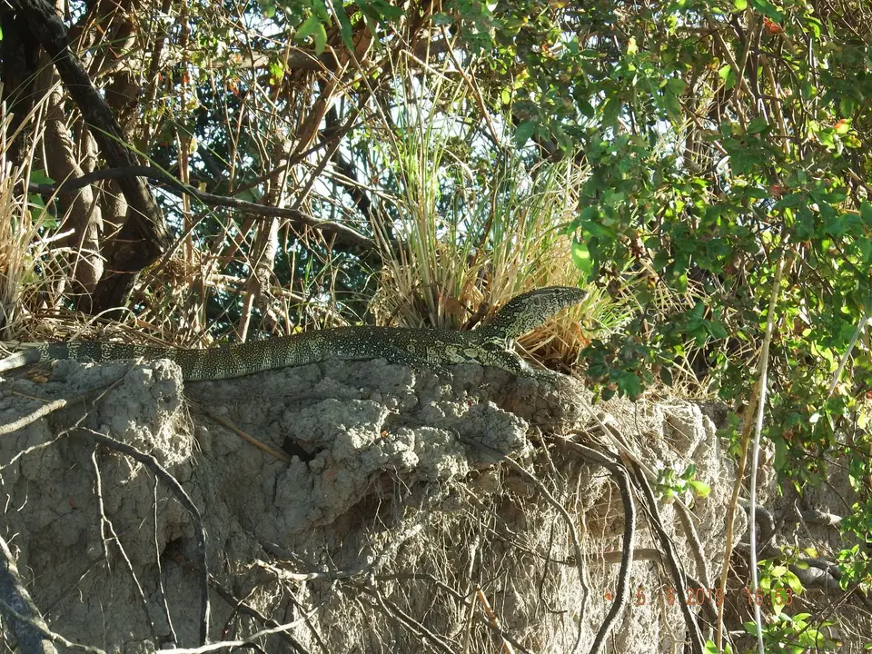 DSCF0137.JPG
