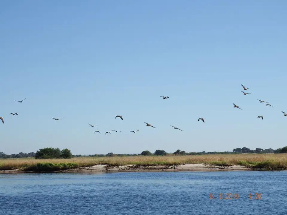 DSCF0196.JPG