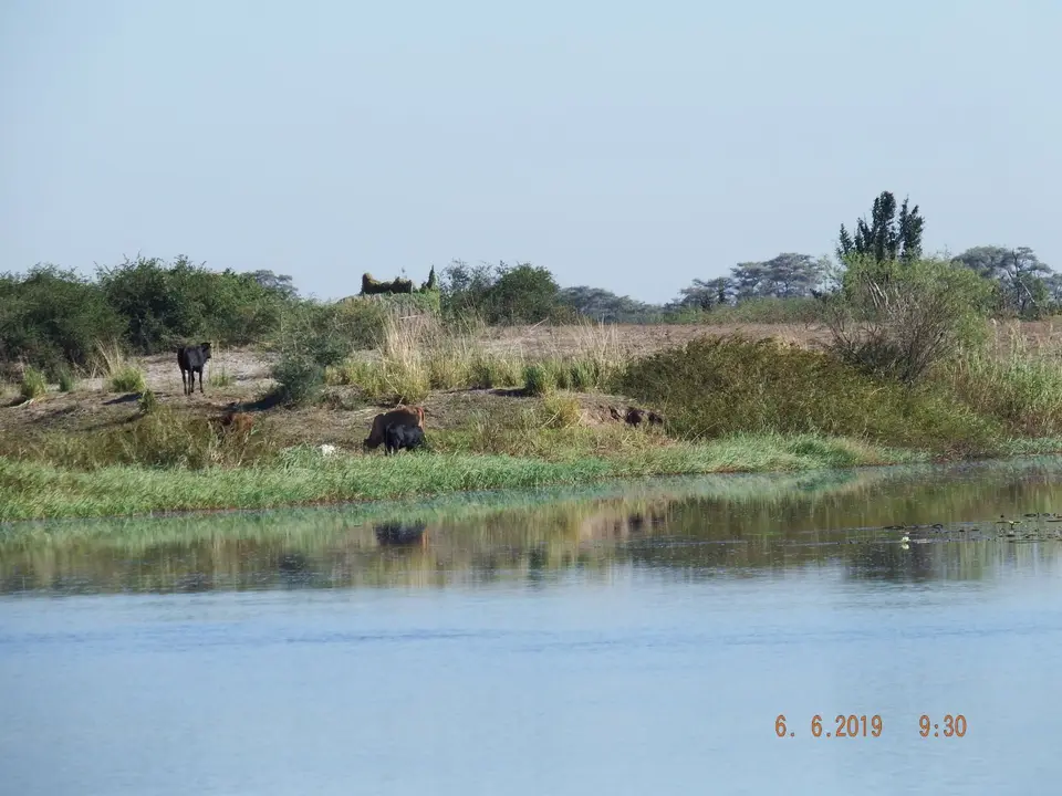 DSCF0199.JPG