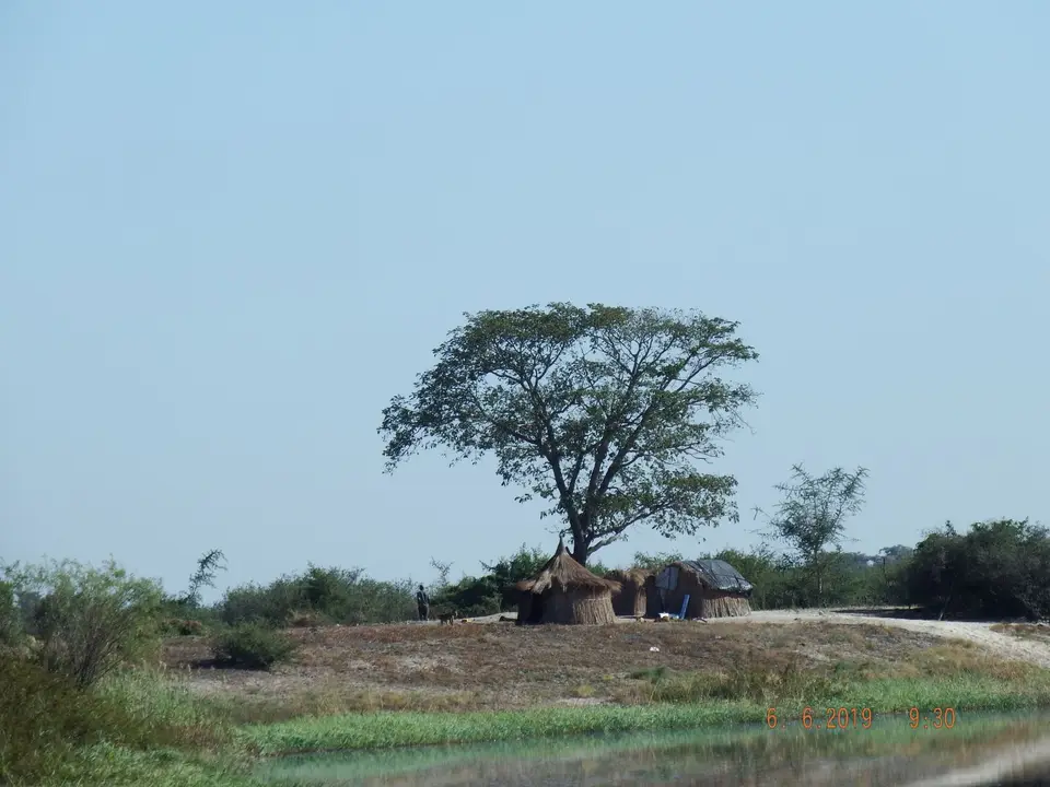 DSCF0200.JPG