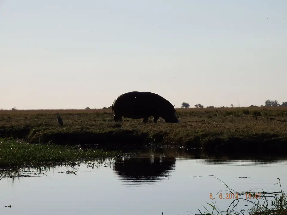 DSCF0407.JPG