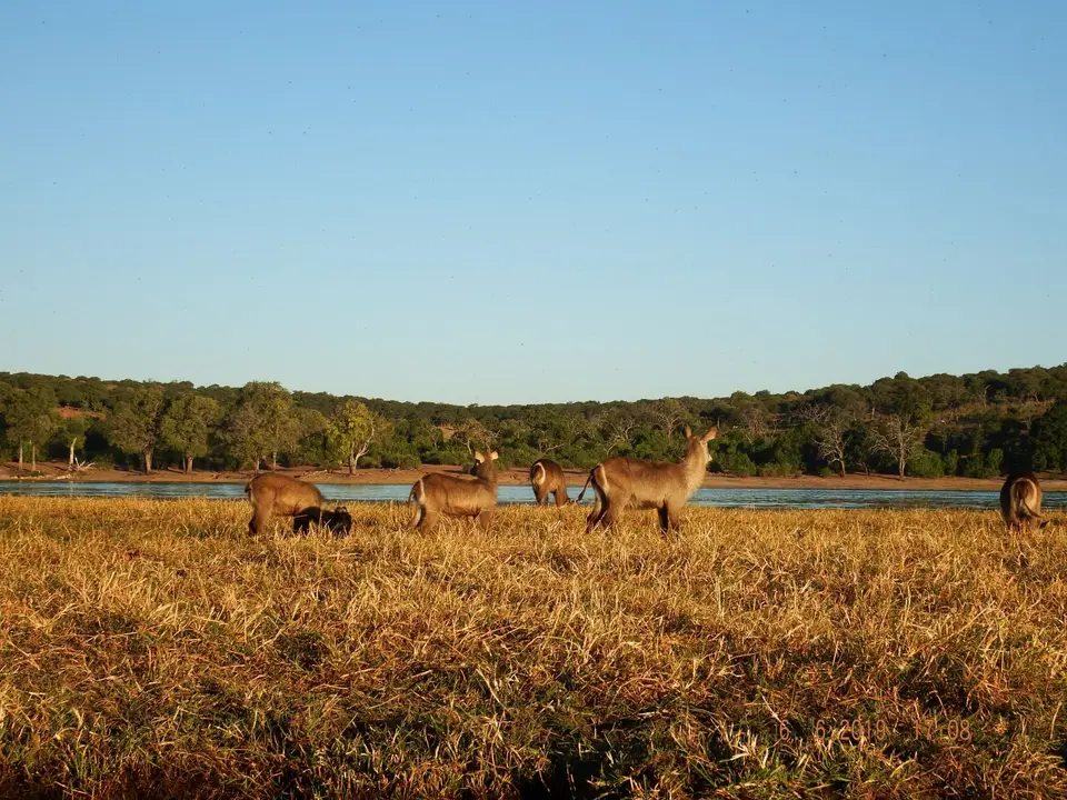 DSCF0457.JPG