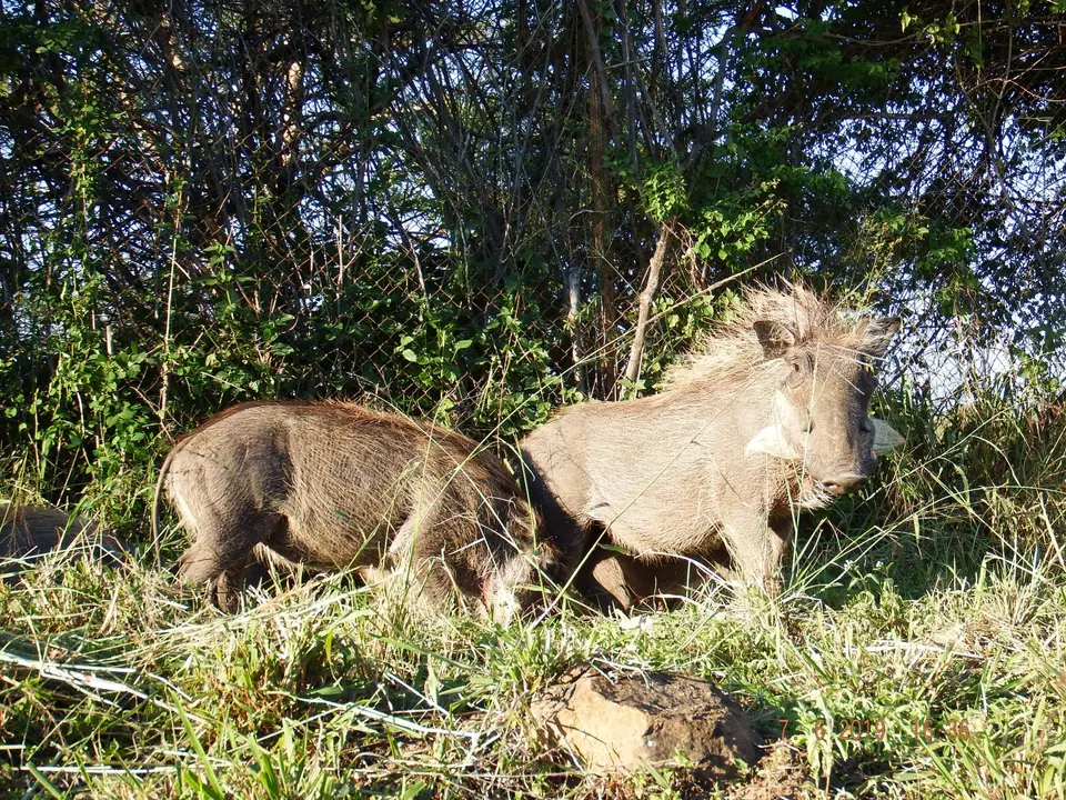 DSCF0688.JPG