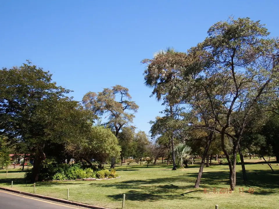 DSCF0811.JPG