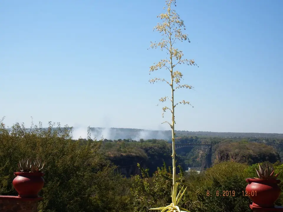 DSCF0837.JPG