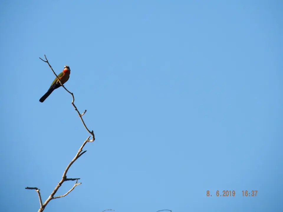 DSCF0863.JPG