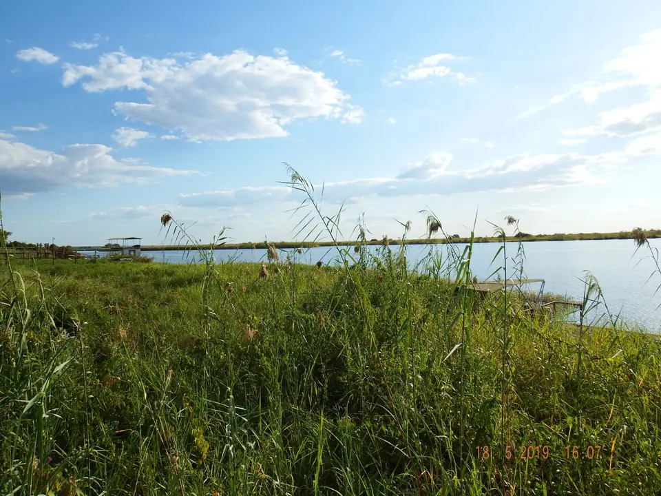 DSCF7238.JPG