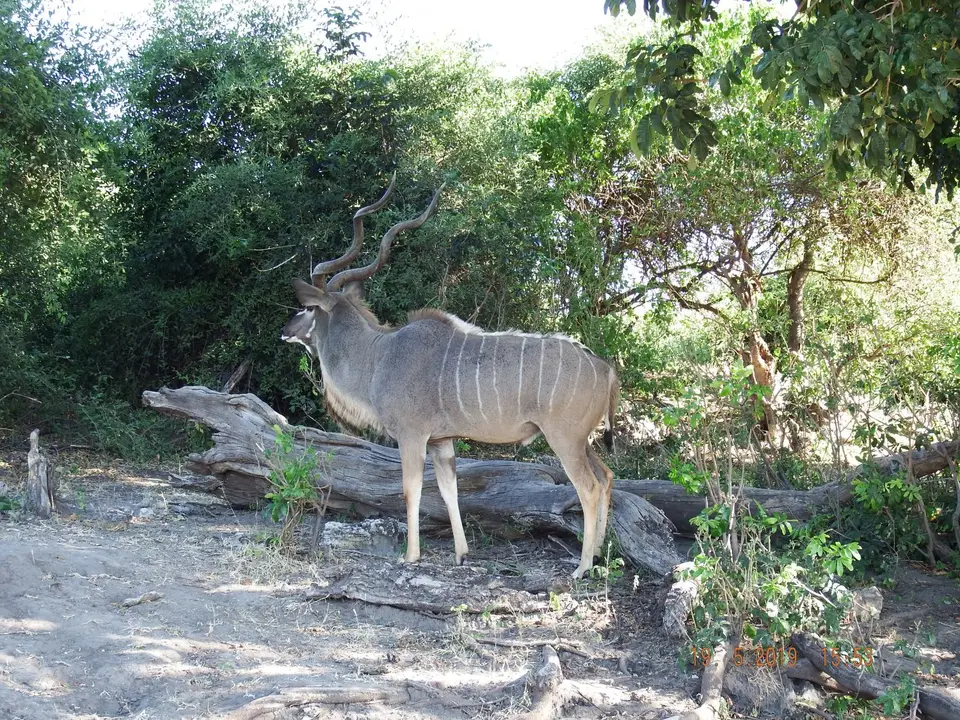 DSCF7522.JPG