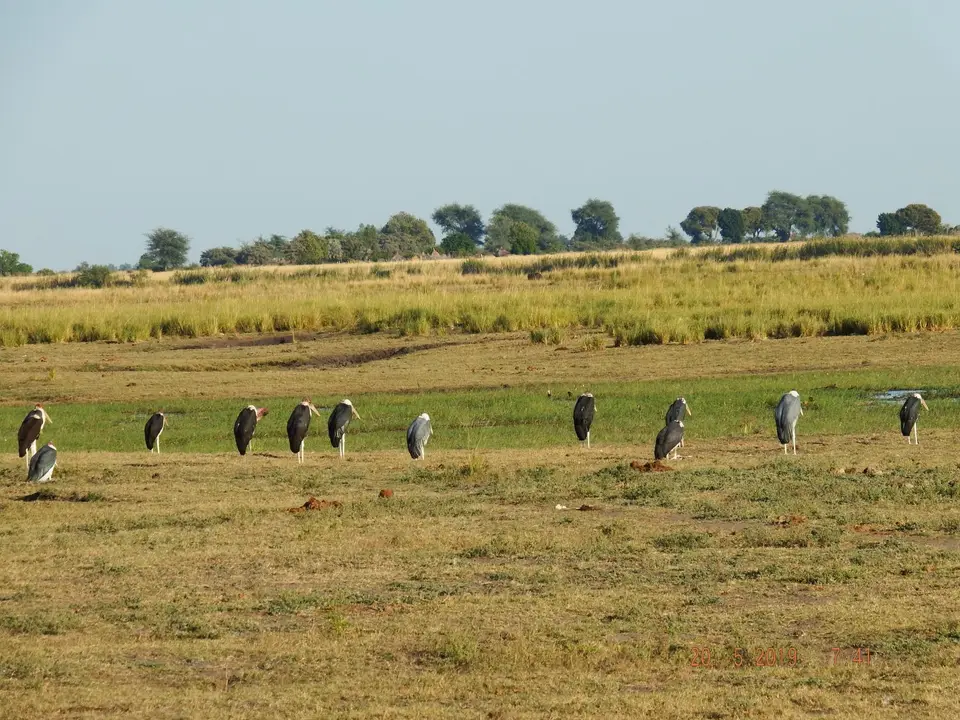 DSCF7573.JPG