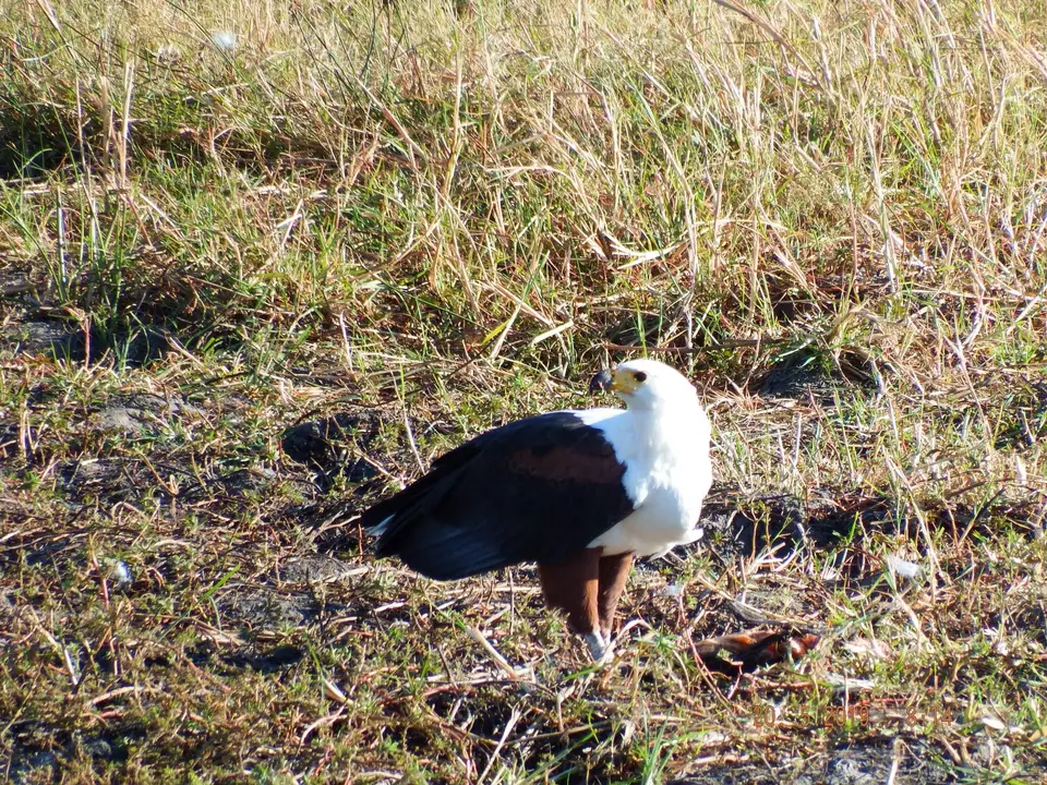 DSCF7586.JPG