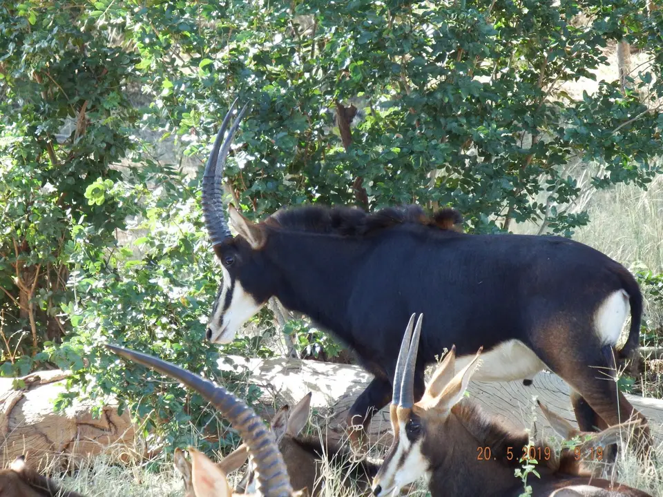 DSCF7616.JPG