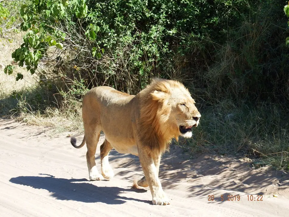 DSCF7634-2.JPG