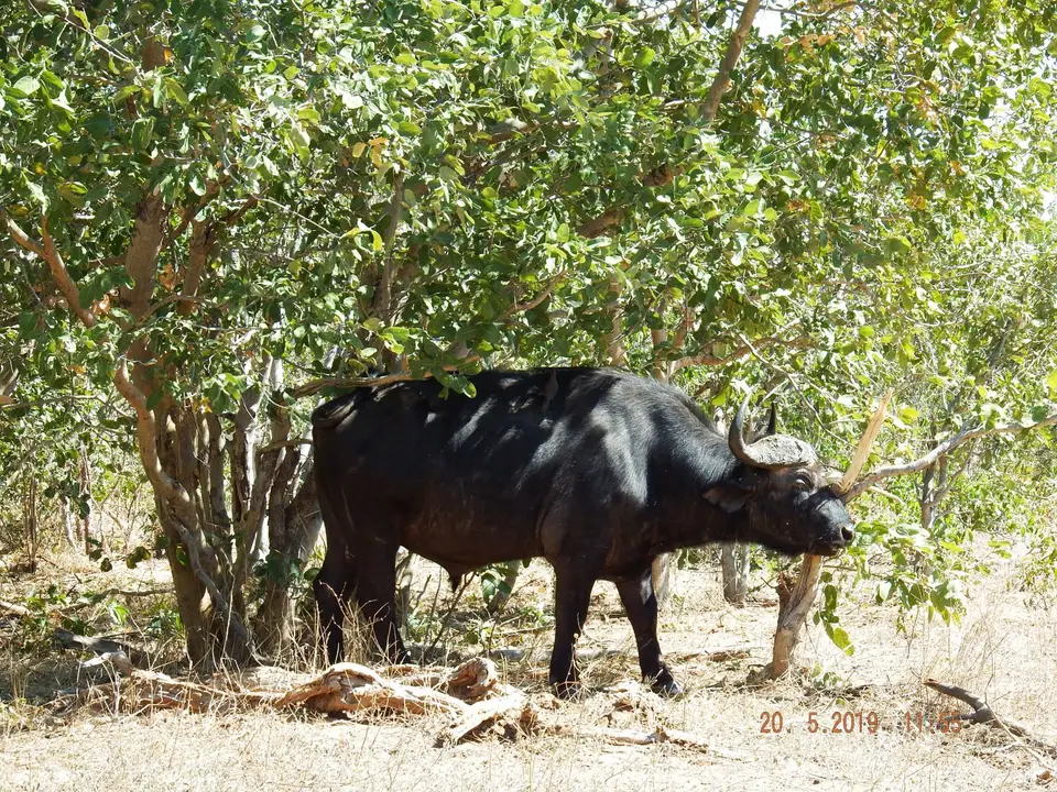 DSCF7669.JPG