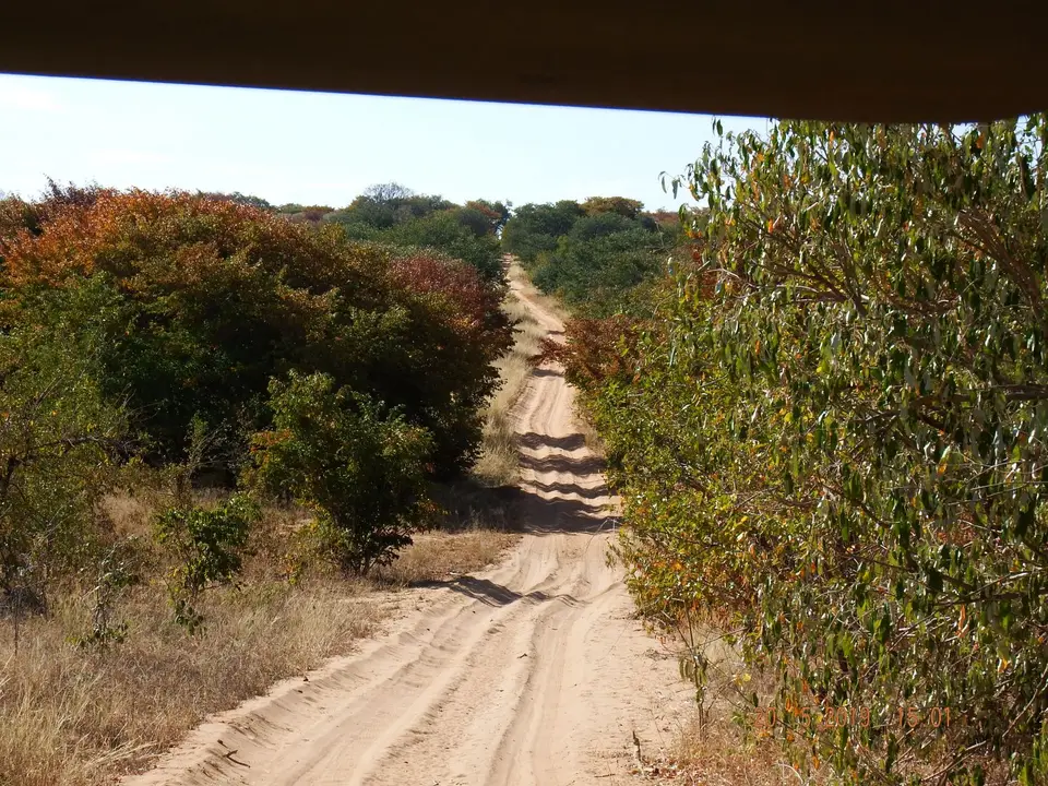 DSCF7706.JPG