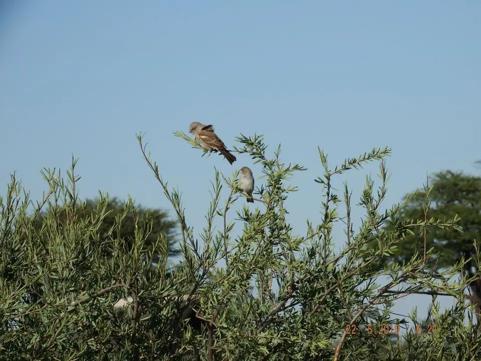 DSCF7868.JPG