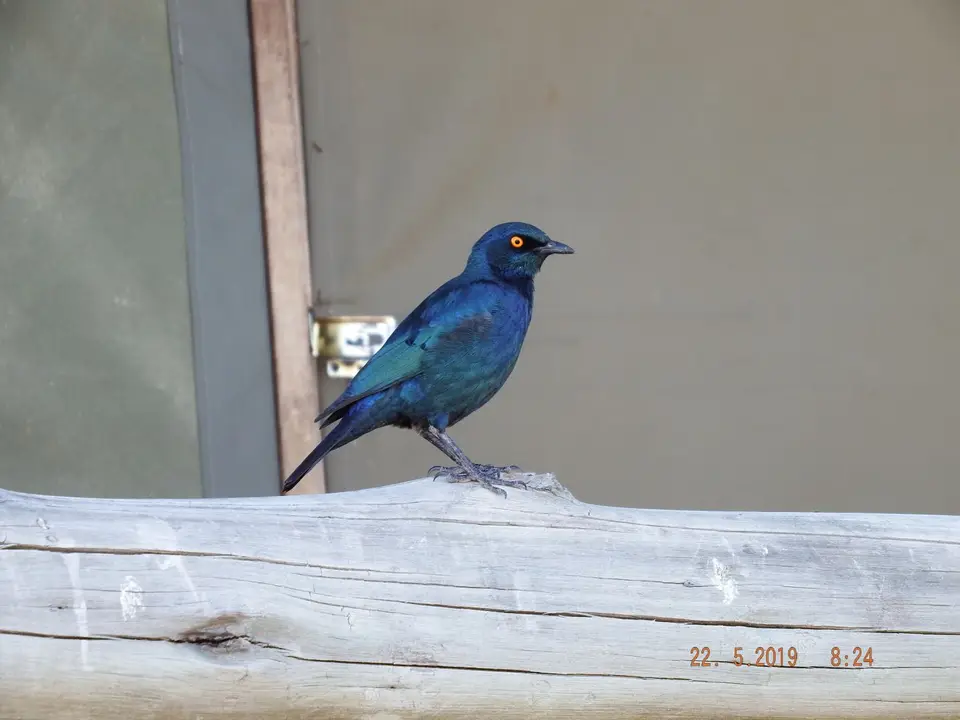 DSCF7872.JPG