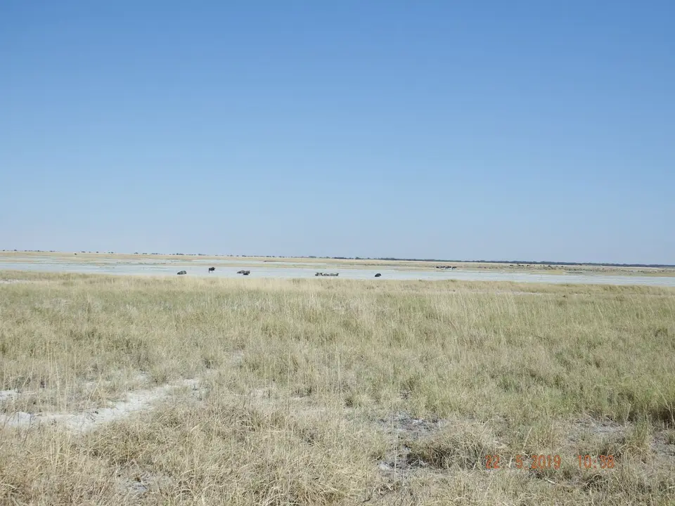 DSCF7876.JPG