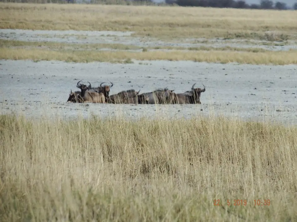 DSCF7877.JPG